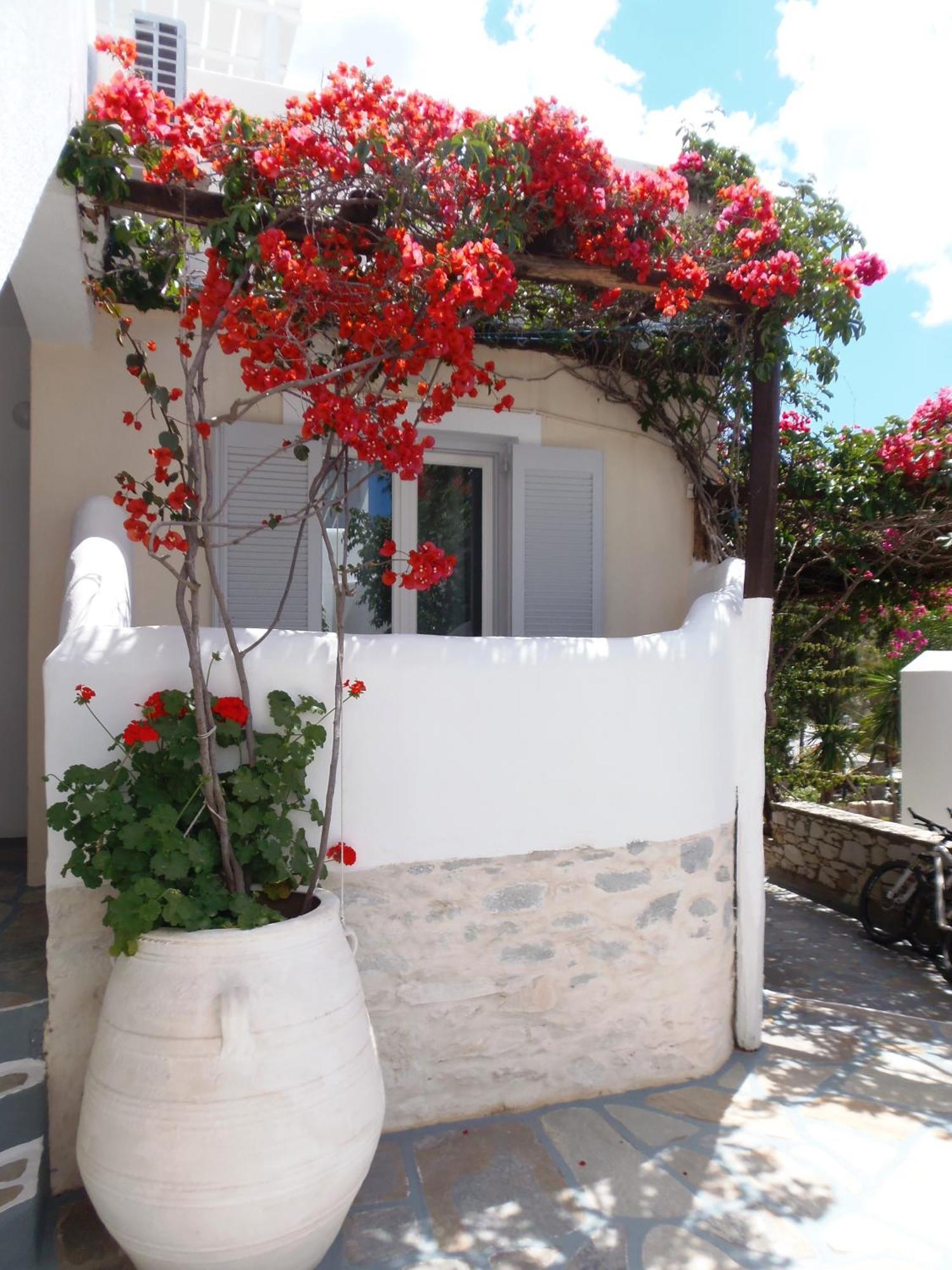 Hotel Manos Náoussa Extérieur photo